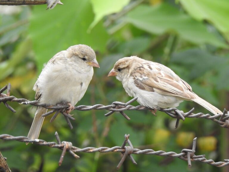 Paradoksy, które poszerzą Twój umysł – jak kwestionować rzeczywistość